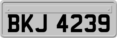 BKJ4239