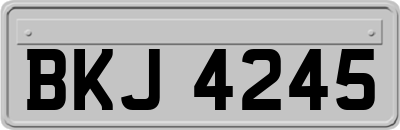 BKJ4245