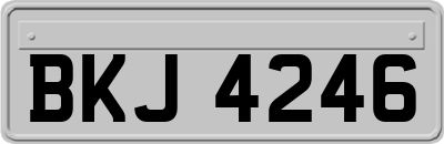 BKJ4246