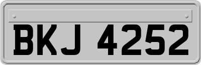 BKJ4252
