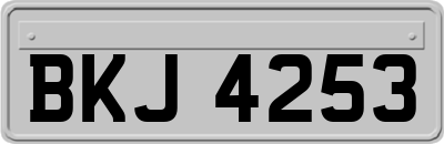 BKJ4253