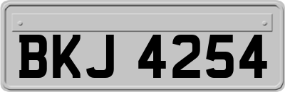 BKJ4254