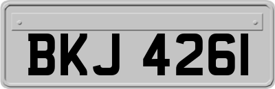 BKJ4261