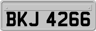 BKJ4266
