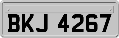 BKJ4267