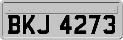 BKJ4273