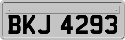 BKJ4293