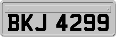 BKJ4299