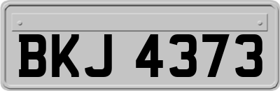 BKJ4373