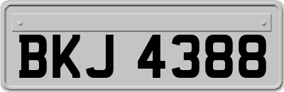 BKJ4388