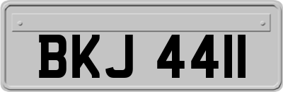 BKJ4411