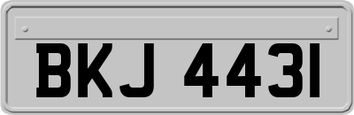 BKJ4431