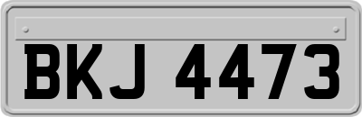 BKJ4473