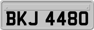 BKJ4480