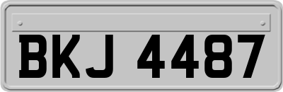 BKJ4487