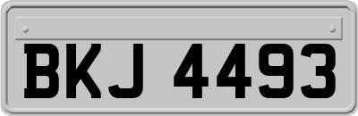 BKJ4493