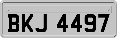 BKJ4497