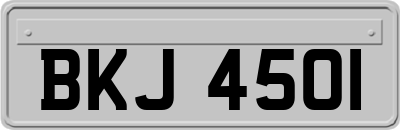 BKJ4501