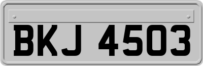 BKJ4503