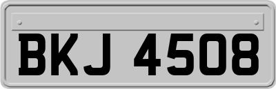 BKJ4508