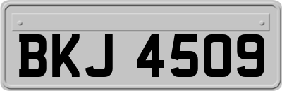 BKJ4509