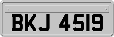 BKJ4519
