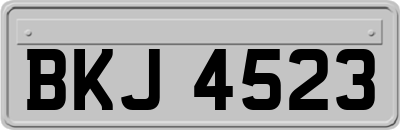 BKJ4523