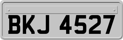 BKJ4527