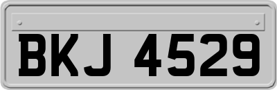 BKJ4529