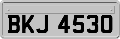 BKJ4530