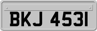BKJ4531