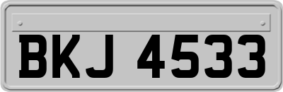 BKJ4533