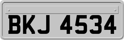 BKJ4534