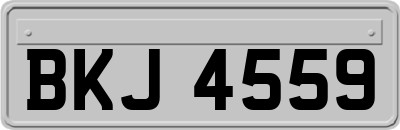 BKJ4559