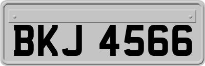 BKJ4566