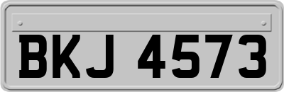 BKJ4573