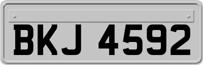 BKJ4592