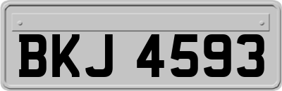 BKJ4593