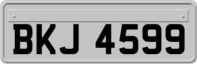 BKJ4599
