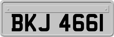 BKJ4661