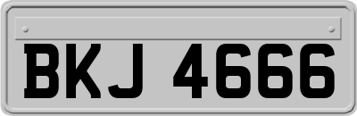 BKJ4666