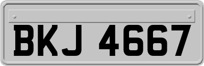 BKJ4667