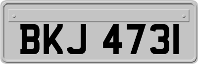 BKJ4731