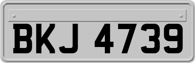 BKJ4739