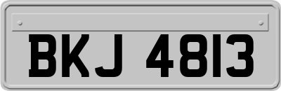 BKJ4813