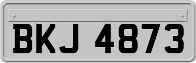 BKJ4873