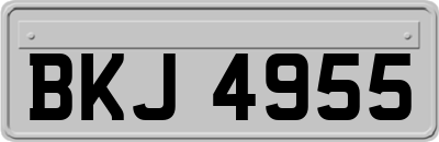 BKJ4955