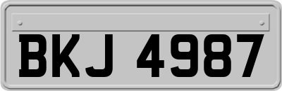 BKJ4987