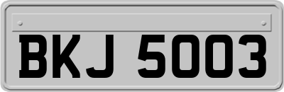 BKJ5003