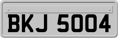 BKJ5004